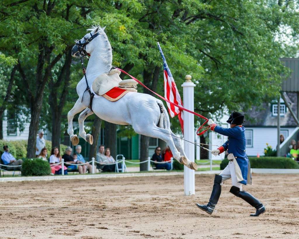 The Tempel Lipizzans | 17000 W Wadsworth Rd, Old Mill Creek, IL 60083, USA | Phone: (847) 244-5330