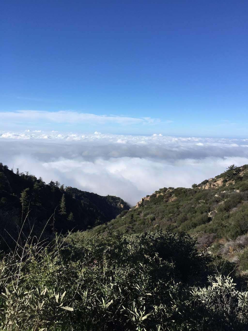 Mt Lowe Trail Camp | Muir Peak Rd, Mt Lowe Rd, Altadena, CA 91001