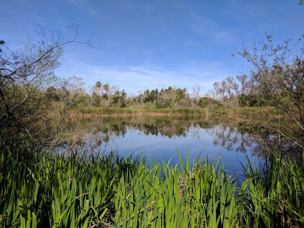 El Dorado Nature Center | 7550 E Spring St, Long Beach, CA 90815, USA | Phone: (562) 570-1745