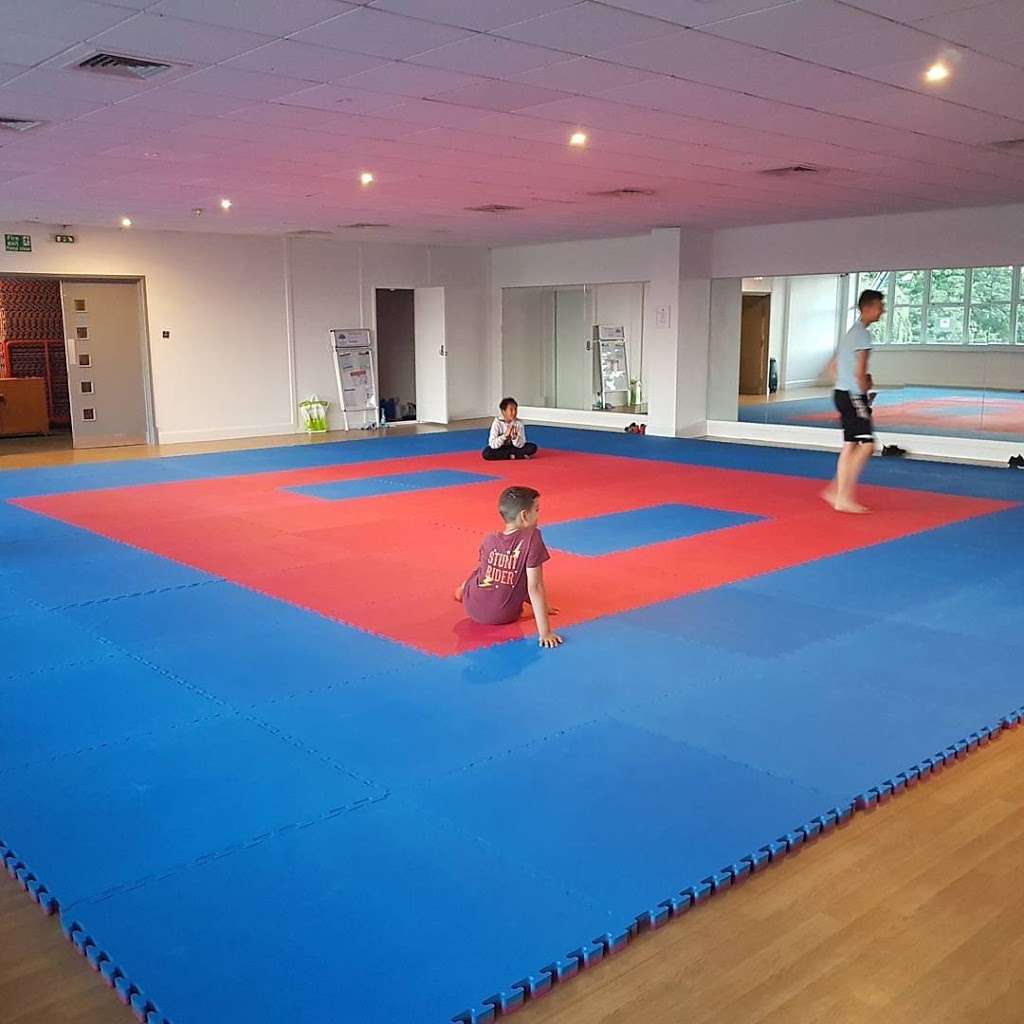 Docklands Shoujin Karate Club | East London gymnastics centre, 1 Triumph Rd, London E6 5LW, UK | Phone: 07864 869386