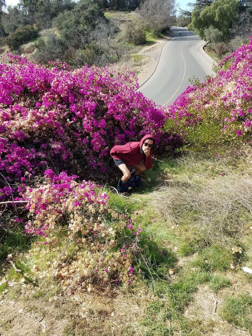 The Hidden Swing | Elysian Park Dr, Los Angeles, CA 90012, USA