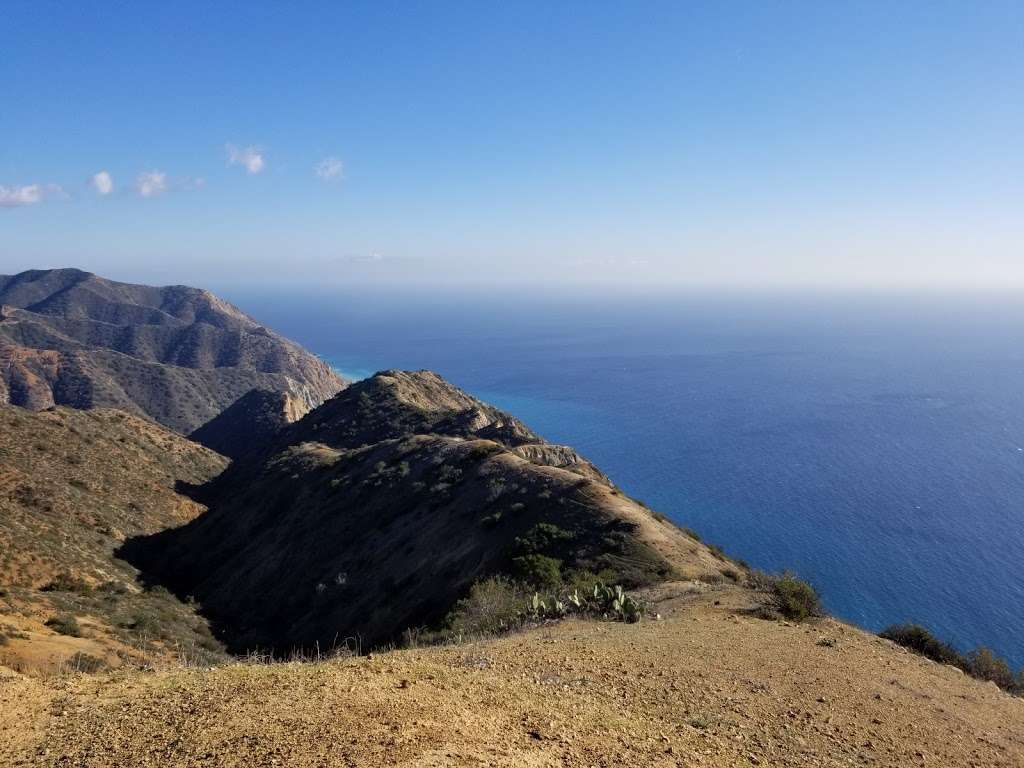 Lone Tree View Point | Lone Tree Road, Avalon, CA 90704, USA