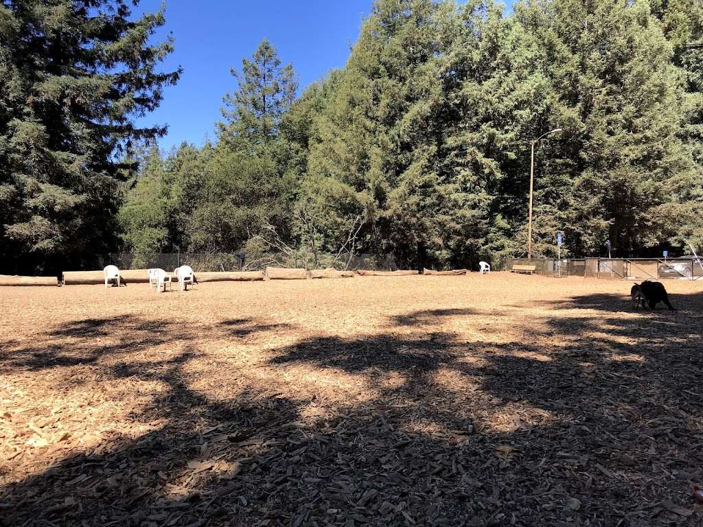 Joaquin Miller Dog Park | 3590 Sanborn Dr, Oakland, CA 94602, USA | Phone: (510) 238-3739