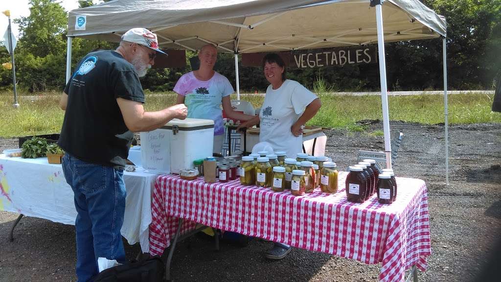 Flashy Light Farm Stand | 17401-17429 Farm to Market Rd 762, Richmond, TX 77469, USA | Phone: (713) 899-2537