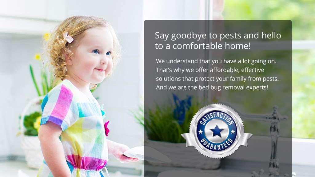 Spearhead Pest Control | 1084 Britten Ln #206, Ventura, CA 93003, USA | Phone: (805) 746-4547