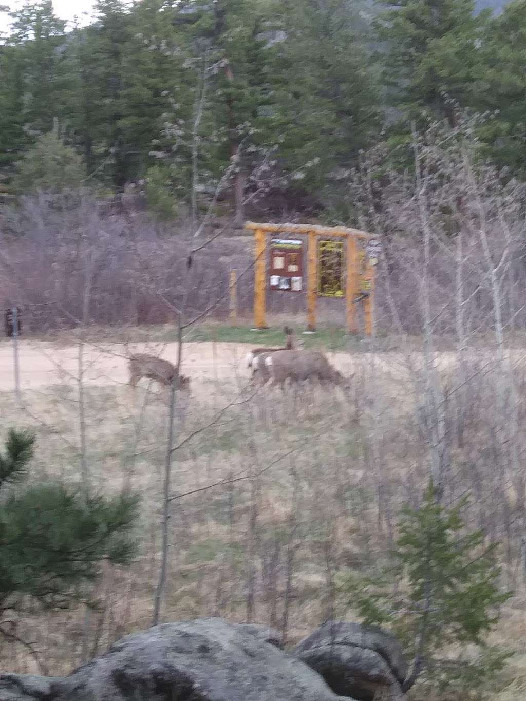 Hermit Park Open Space | 17 Hermit Park Rd, Estes Park, CO 80517, USA | Phone: (800) 397-7795