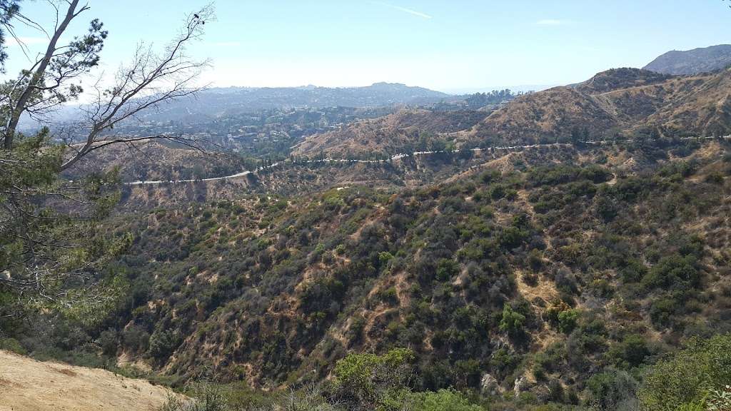 Forest Oaks | Boulder Knolls Rd, Escondido, CA 92026, USA | Phone: (760) 749-3000