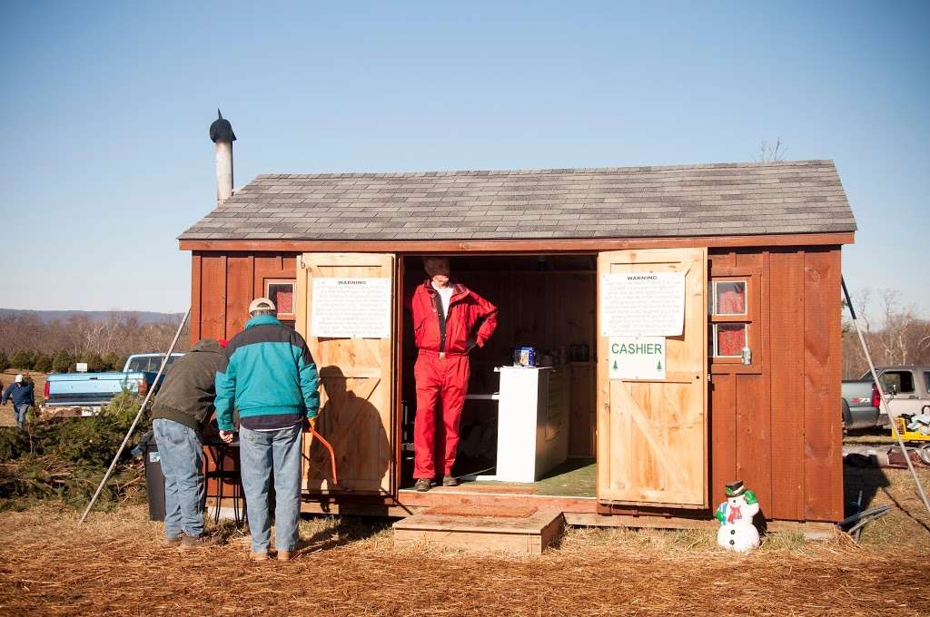 Middleburg Christmas Tree Farm Christmas Tree Ln Round Hill Va 20141 Usa