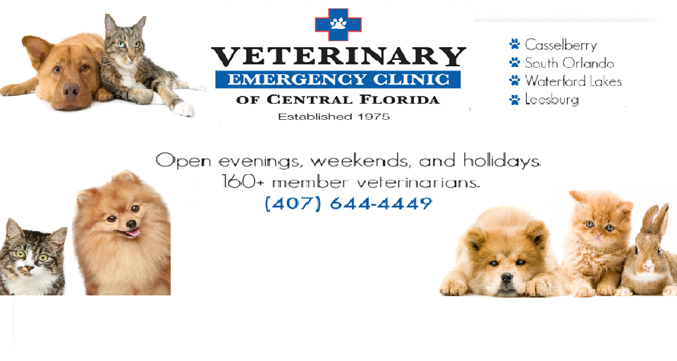 Veterinary Emergency Clinic | 195 Concord Dr, Casselberry, FL 32707 | Phone: (407) 644-4449