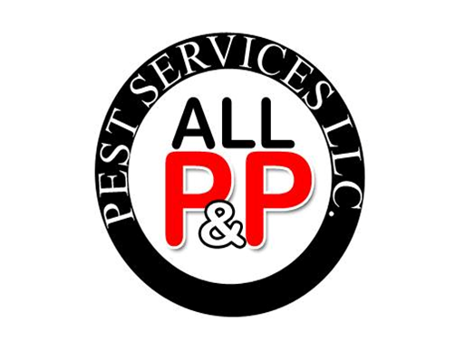 All P & P Pest Services | 1630 Falcon Dr Suite #101, DeSoto, TX 75115, USA | Phone: (469) 776-8958