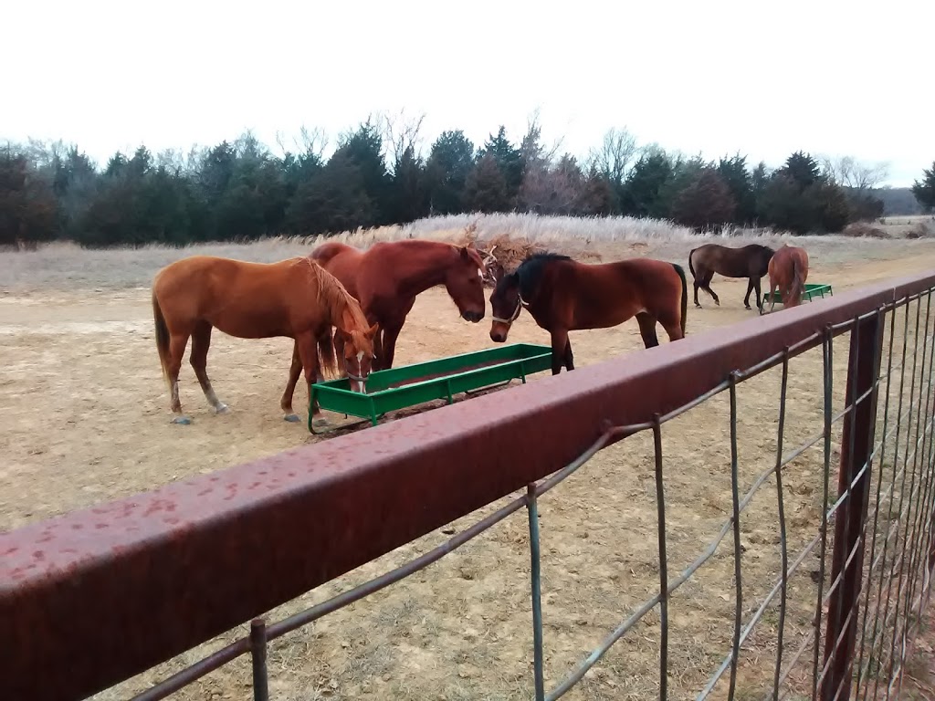 Meadow Lake Ranch | 3450 S 137th W Ave, Sand Springs, OK 74063, USA | Phone: (918) 494-6000 Meadow Lake Ranch | 3450 S 137th W Ave, Sand Springs, OK 74063, USA | Phone: (918) 494-6000