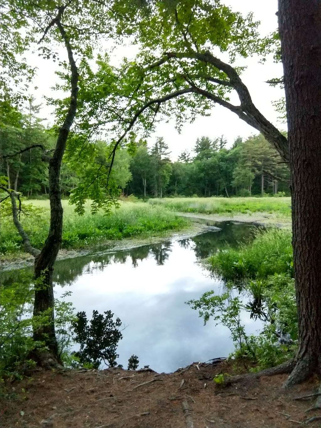 Stony Brook Conservation Land | Westford, MA 01886, USA | Phone: (978) 692-5532