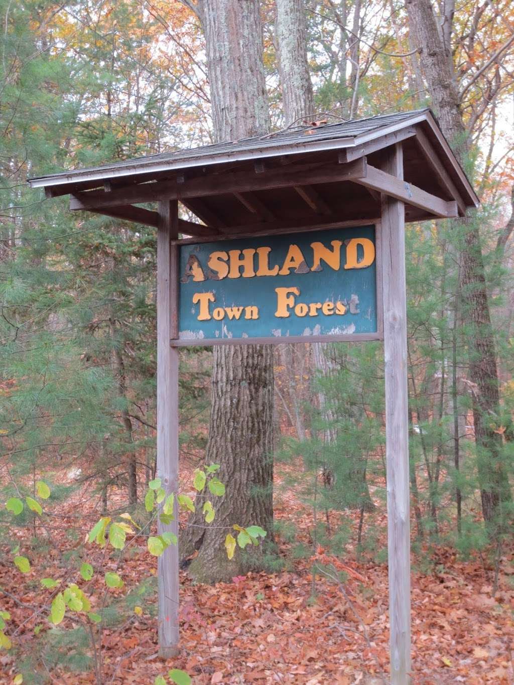 Ashland Town Forest | Ashland, MA 01721, USA