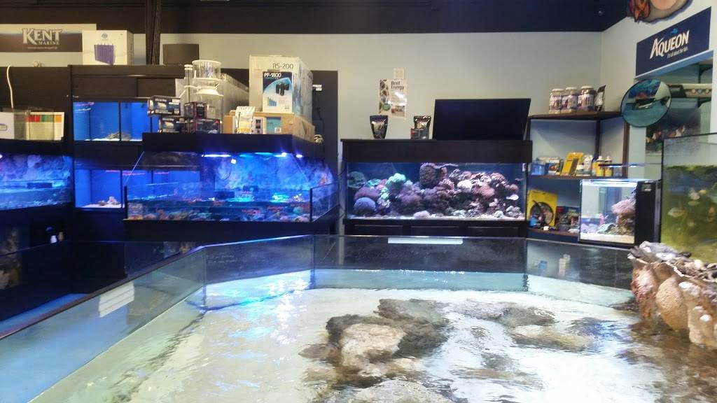Pisces Reef Fish Emporium, LLC | 10080 W Tropicana Ave #166, Las Vegas, NV 89147, USA | Phone: (702) 431-2370