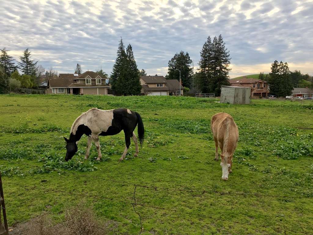 Rancho Higuera Historical Park | 47300 Rancho Higuera Rd, Fremont, CA 94539, USA | Phone: (510) 494-4300