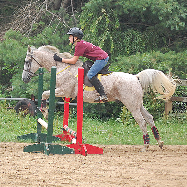 Opening Number Riding Academy | 40 Belle Rouge Farm Ln, North East, MD 21901, USA | Phone: (302) 388-6443