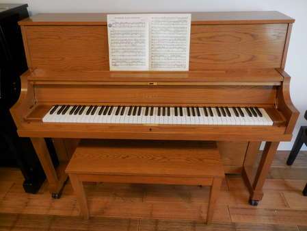 Artistic Piano Service, LLC | 632 Hickory Hollow Rd, Waterford, WI 53185, USA | Phone: (262) 930-8995