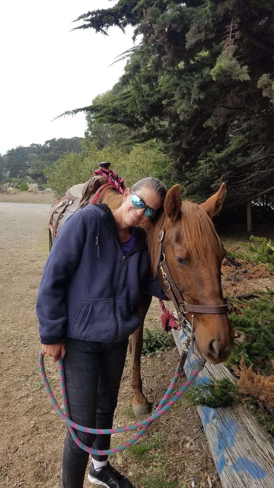 Horse N Around Trail Rides | 18797 CA-1, Bodega Bay, CA 94923, USA | Phone: (707) 875-3333