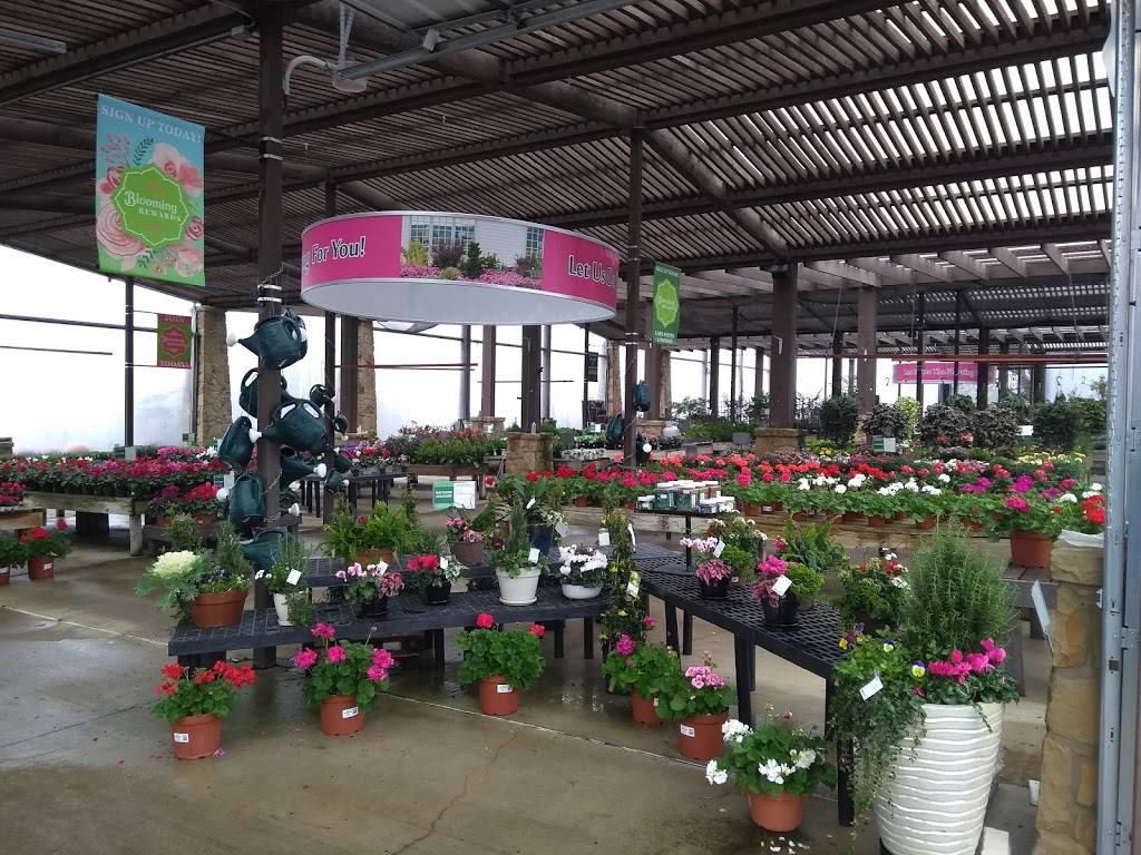 Calloways Nursery | 291 E Southlake Blvd, Southlake, TX 76092, USA | Phone: (817) 416-0736