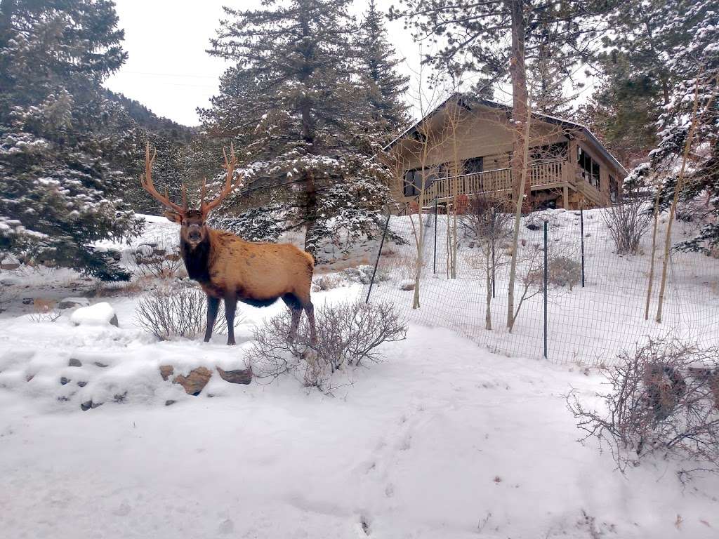 Windcliff Vacation Homes | 2220 Windcliff Dr, Estes Park, CO 80517, USA | Phone: (970) 586-2181