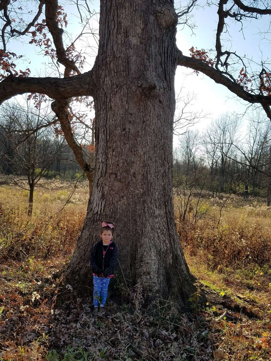 Hickory Creek Preserve - LaPorte Road Access | 10537 W La Porte Rd, Mokena, IL 60448, USA | Phone: (815) 727-8700