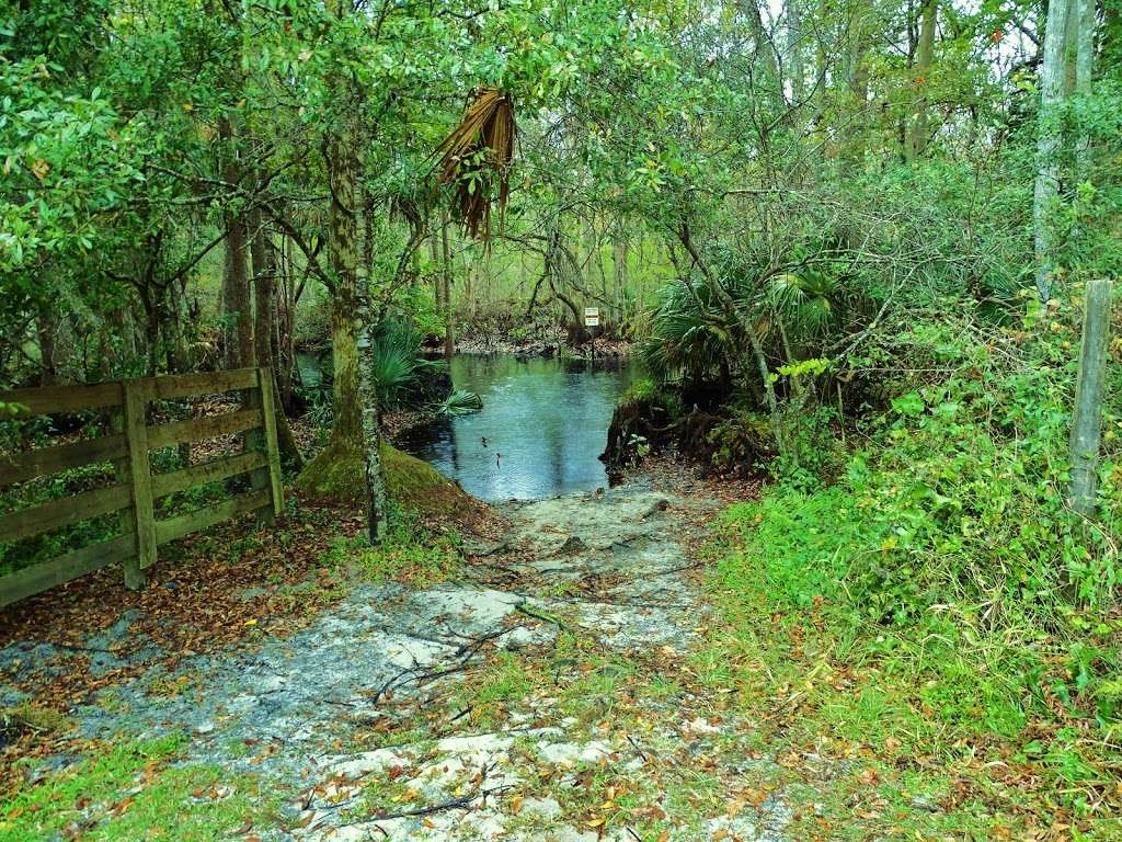 Lake Norris Conservation Area East Trailhead | 24542 Blackwater Creek Rd, Eustis, FL 32736 | Phone: (386) 329-4404