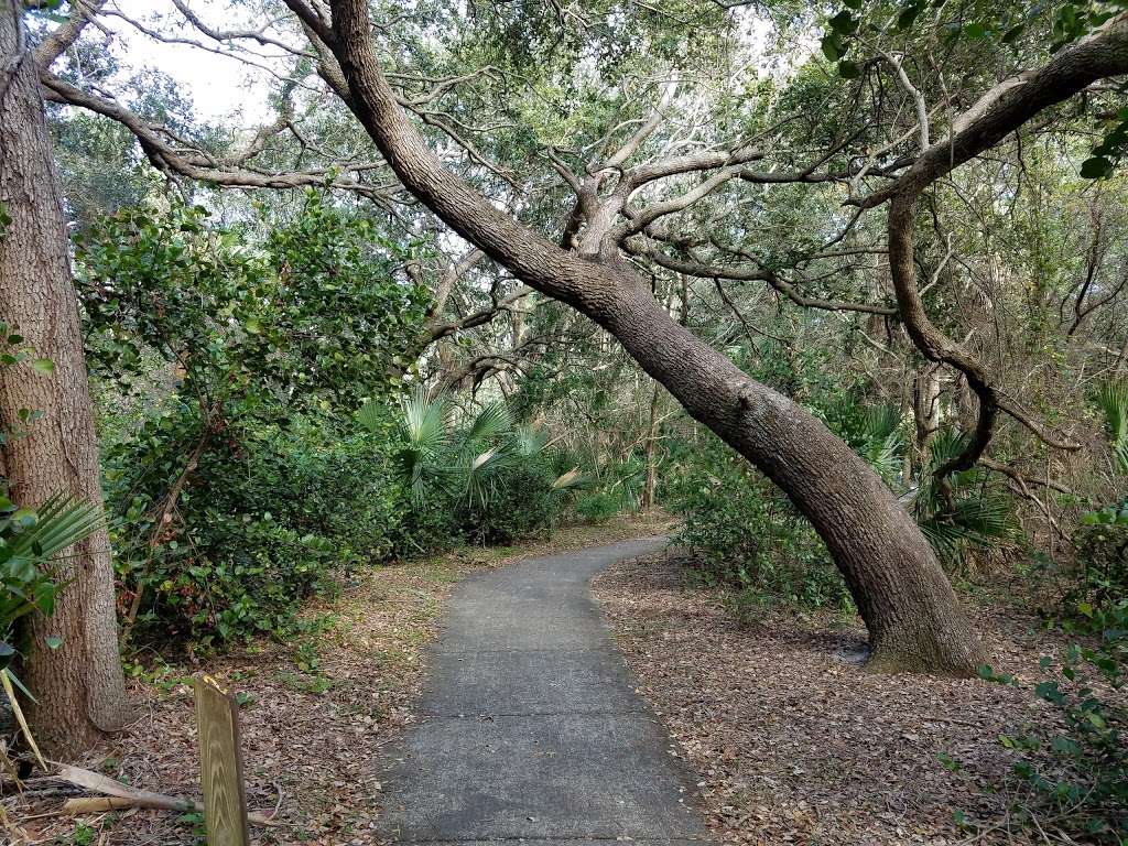 Frenchmans Forest Natural Area | 12201 Prosperity Farms Rd, Palm Beach Gardens, FL 33410, USA | Phone: (561) 966-6600