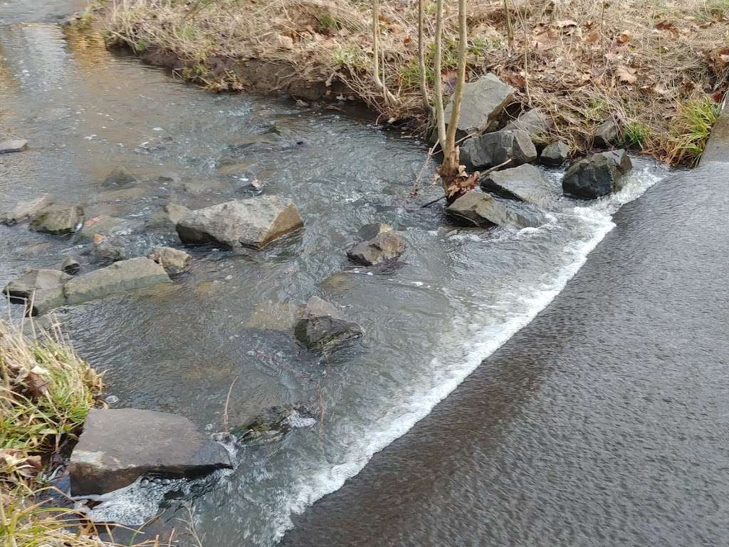 Cub Run Stream Valley Trail | 0534 06 D, Centreville, VA 20120, USA