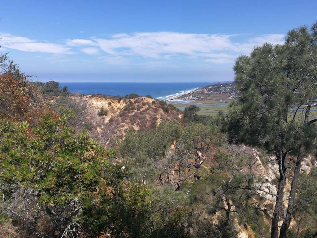 Torrey Pines Reserve Lodge and Visitor Center | N Torrey Pines Rd, La Jolla, CA 92037, USA | Phone: (858) 755-2063