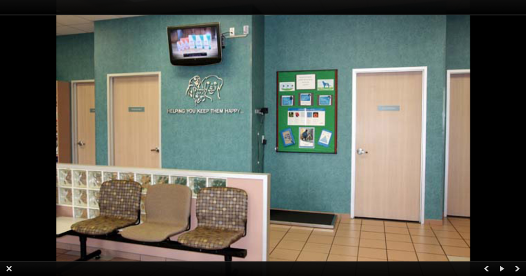 Bay Glen Animal Hospital | 1616 Clear Lake City Blvd #105, Houston, TX 77062, USA | Phone: (281) 410-2611