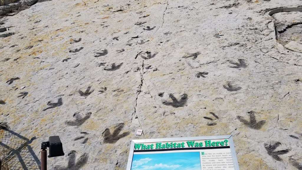 Dinosaur Tracksite | Morrison, CO 80465, USA