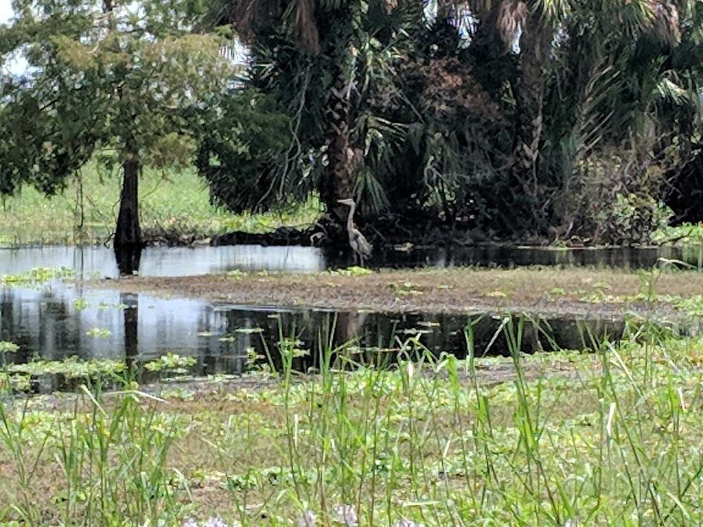 Seminole Ranch Conservation Trailhead | 301 Hatbill Rd, Mims, FL 32754, USA | Phone: (386) 329-4404