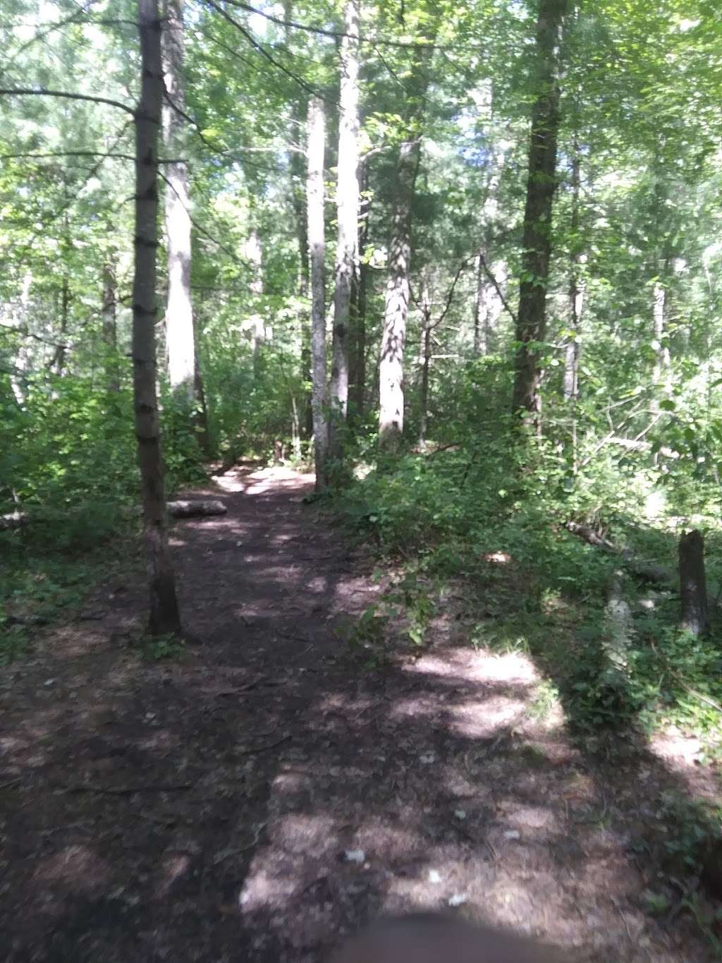 Nickerson Walking Woods Preserve | Richardson Ave, Attleboro, MA 02703, USA | Phone: (508) 223-3060