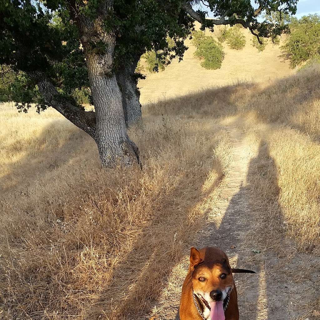 Franco Ranch Loop Trail | Walnut Creek, CA 94596, USA