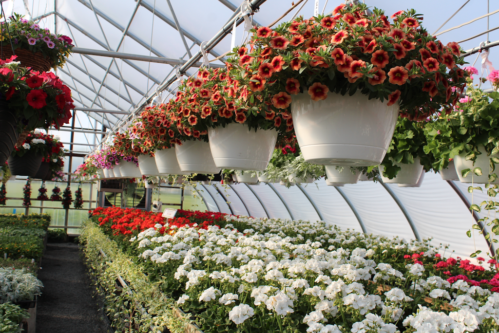 Newswanger’s Greenhouse | 121 Middle Creek Rd, Lititz, PA 17543, USA | Phone: (717) 733-4647