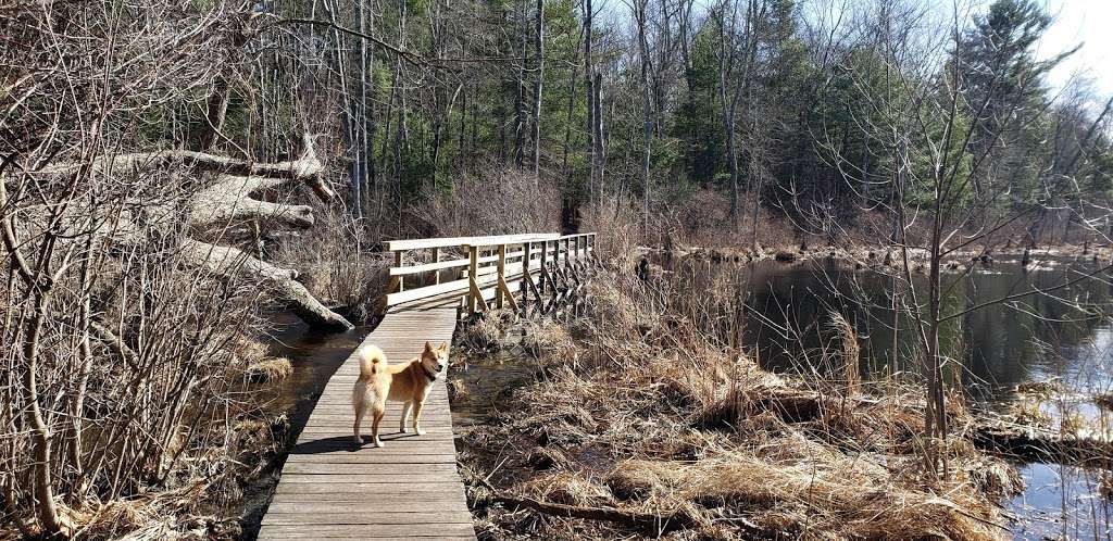 Heath Hen Meadow | Acton, MA 01720, USA