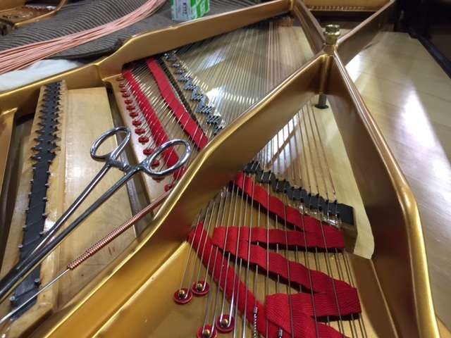 Grand Purpose Piano Tuning | 425 N Grove St, Berlin, NJ 08009 | Phone: (609) 417-8241