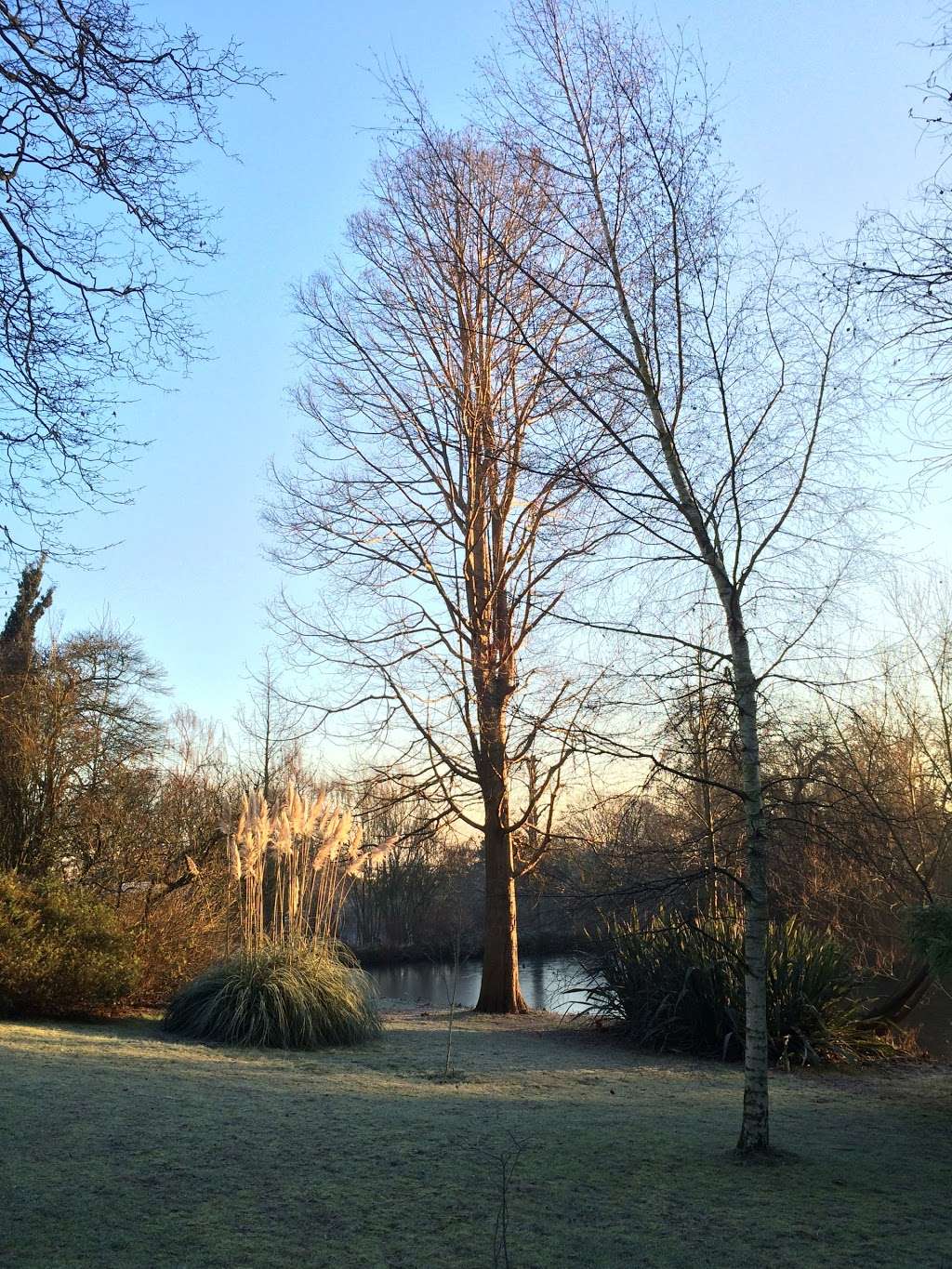 Sydenham Wells Park | Taylors Ln, London SE26 6LA, UK