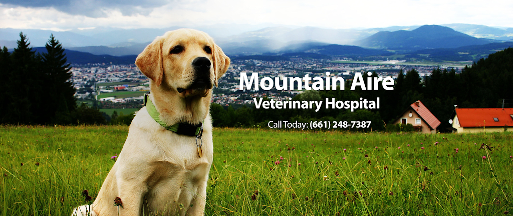 Mountain Aire Veterinary Hospital | 837 Lebec Rd, Frazier Park, CA 93225, USA | Phone: (661) 248-7387