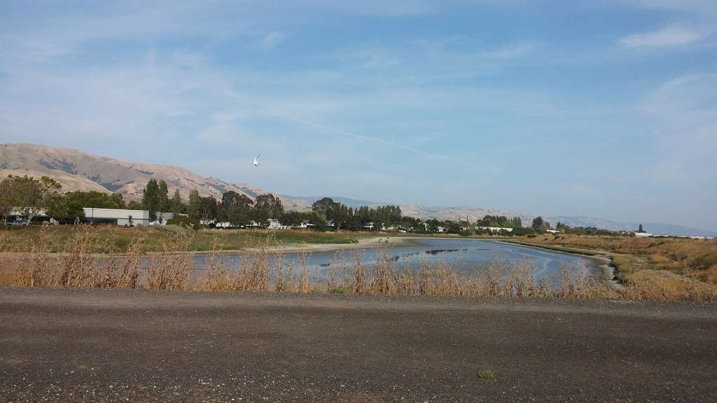 Coyote Lagoon at Don Edwards | Landing Rd, Fremont, CA 94538