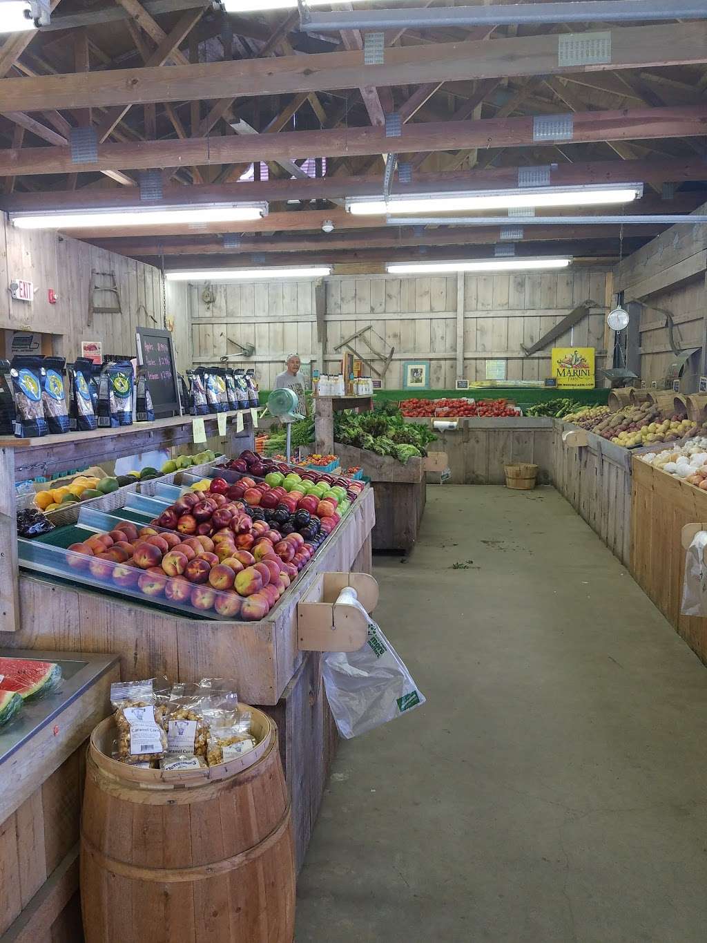 Marini Farm Stand | 259 Linebrook Rd, Ipswich, MA 01938 | Phone: (978) 356-0430