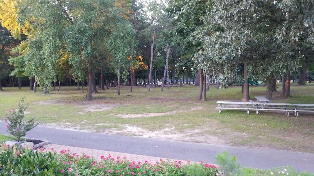 Buttonwood Park | Knightsbridge Rd, Eastampton Township, NJ 08060, USA | Phone: (609) 267-5723