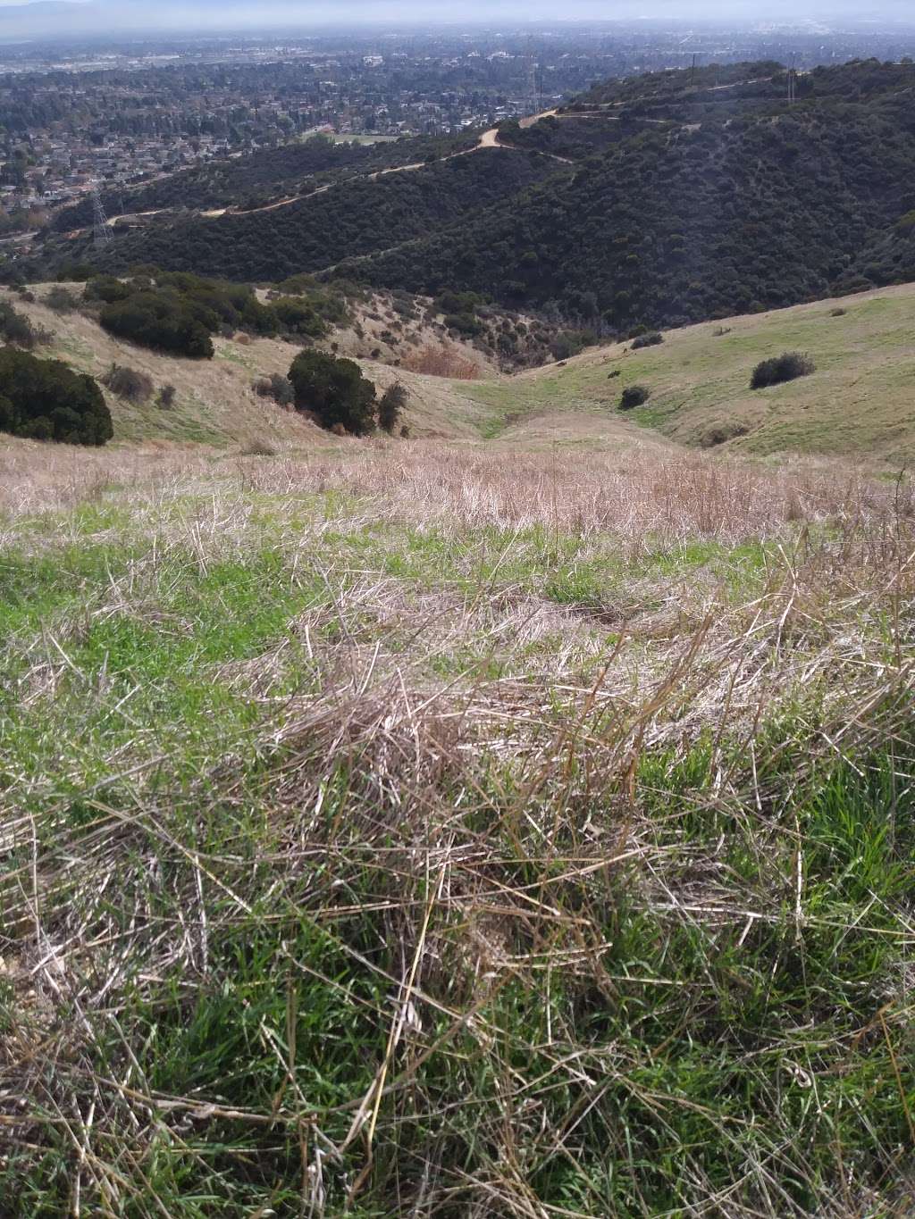 Claremont Hills Wilderness Park | 2575, 2599 N Indian Hill Blvd, Claremont, CA 91711, USA