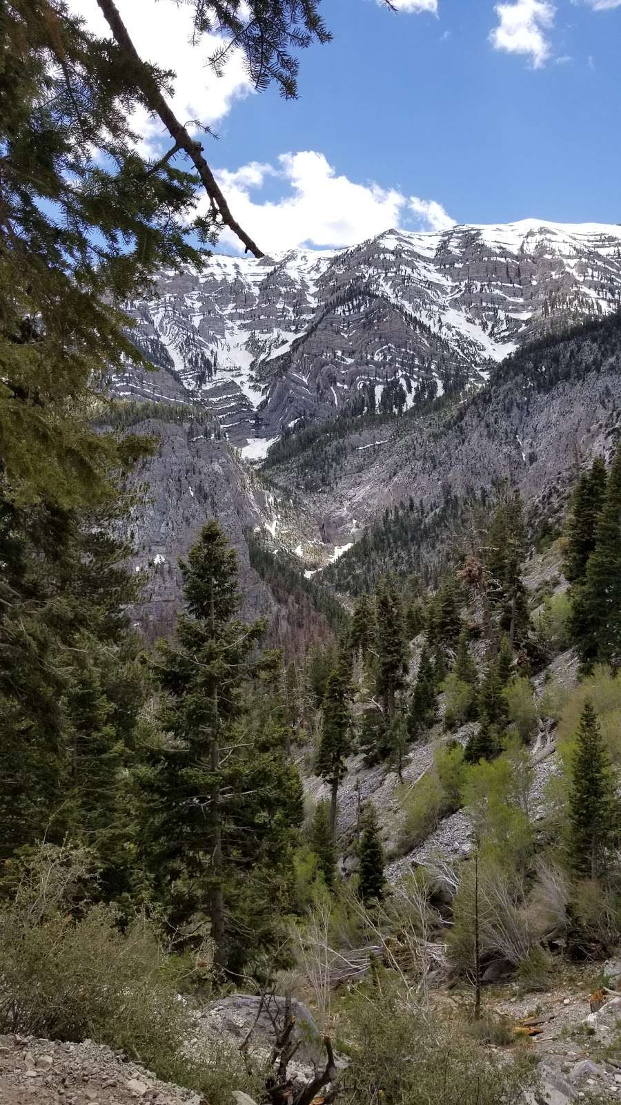 Trail Canyon Trail Head | Trail Canyon, Mt Charleston, NV 89124, USA | Phone: (702) 872-5486