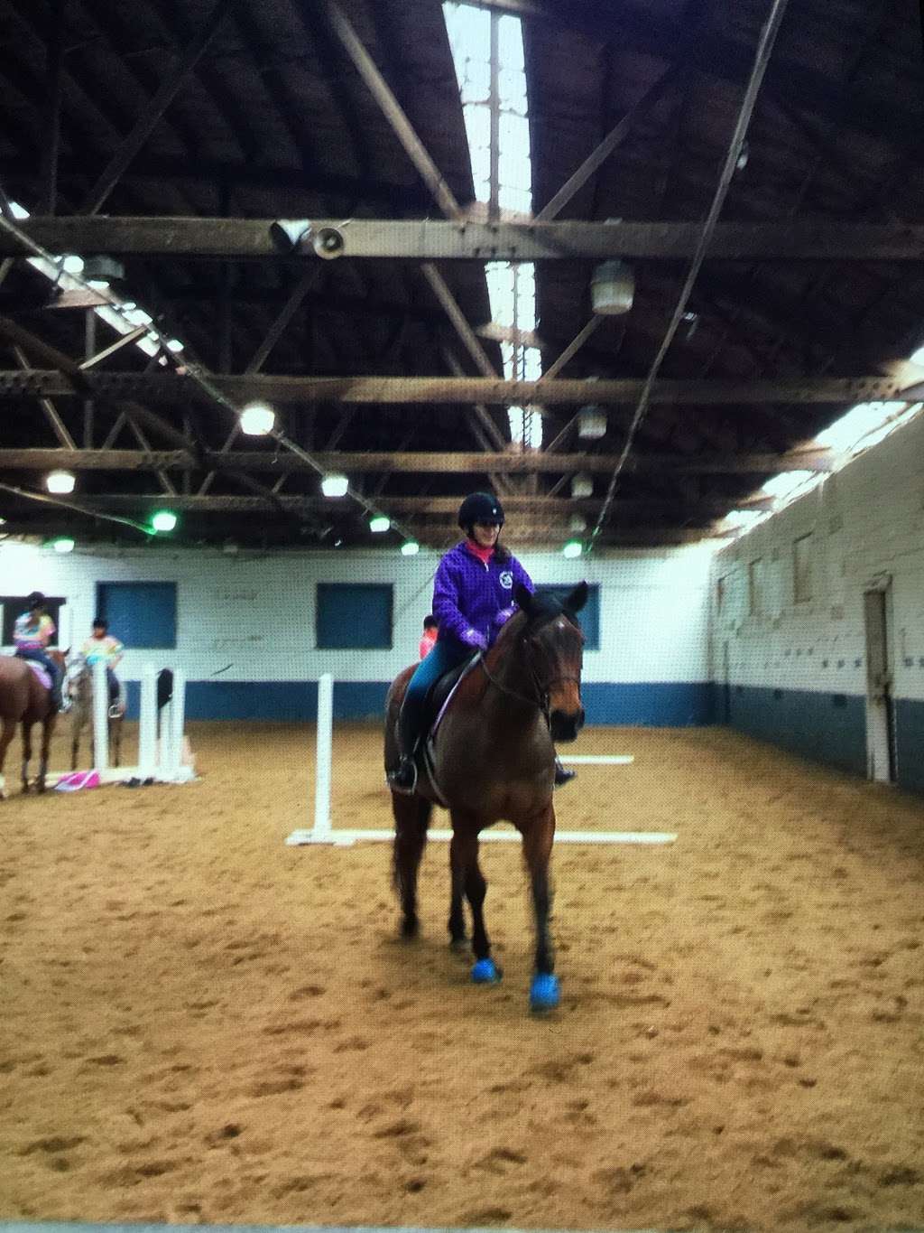 Thomas School Of Horsemanship Summer Day Camp & Riding School | 250 Round Swamp Rd, Melville, NY 11747, USA | Phone: (631) 692-6840