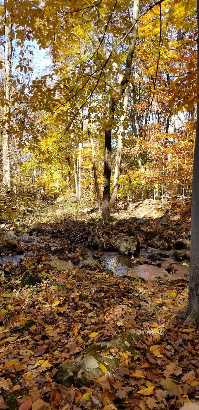 Prydes Point-Alexauken Creek Trail - Rocktown Road Entrance | 281-321 Rocktown Lambertville Rd, Lambertville, NJ 08530, USA