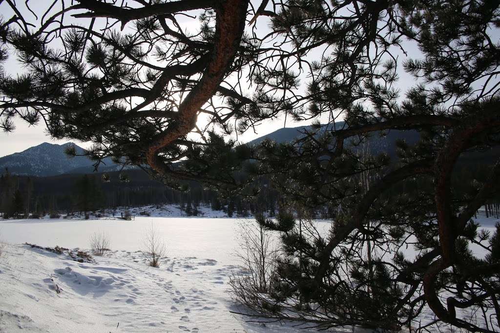 Sprague Lake Camp | Estes Park, CO 80517, USA