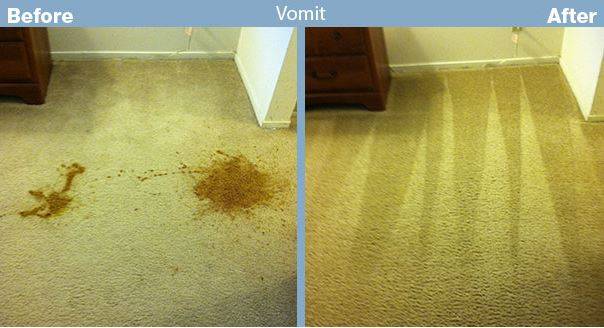 Advanced Carpet Restoration | 4100 16th Ave S # 2, Minneapolis, MN 55407, USA | Phone: (612) 825-9797