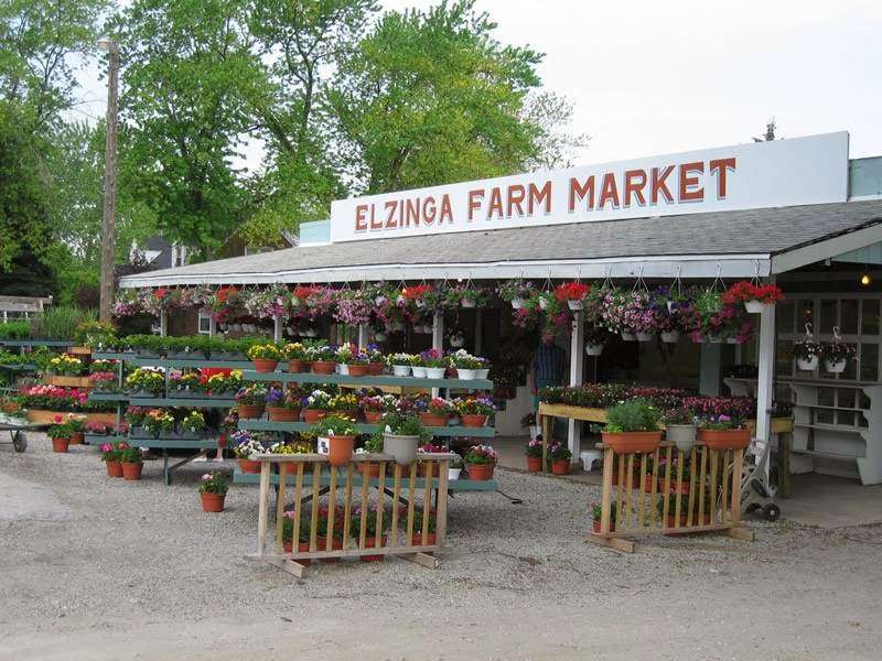 Elzinga Farm Market | 1587 Joliet St, Dyer, IN 46311 | Phone: (219) 865-1181