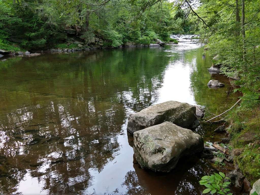 Paradise Price Preserve | PA-447, East Stroudsburg, PA 18302, USA